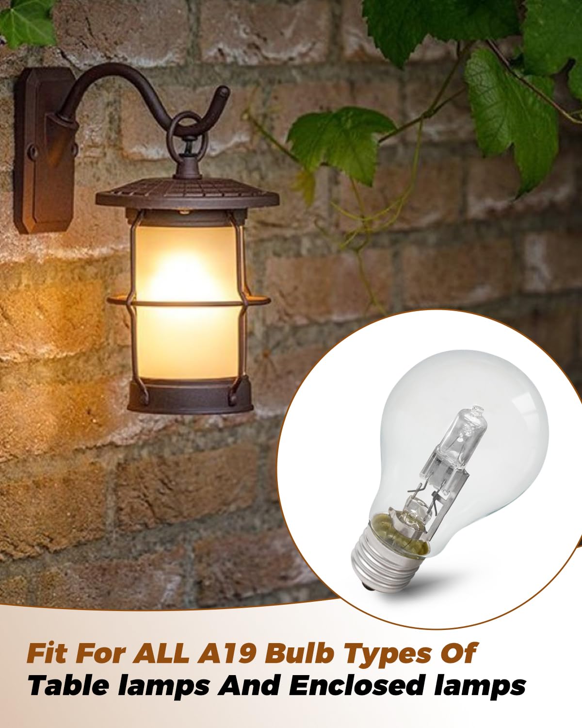 JadeBeauty 43W 120V clear bulb delivers bright, consistent illumination.