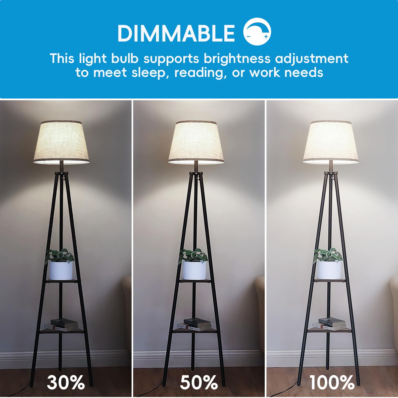 Jensense 60W-equivalent LED Edison bulb saves energy while keeping a classic look.