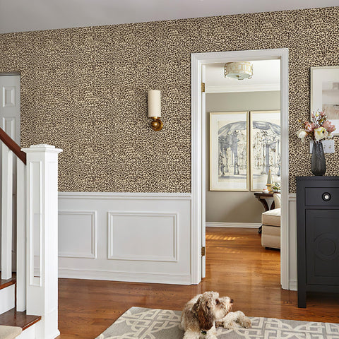 JiffDiff easy removal minimizes wall residue during updates.