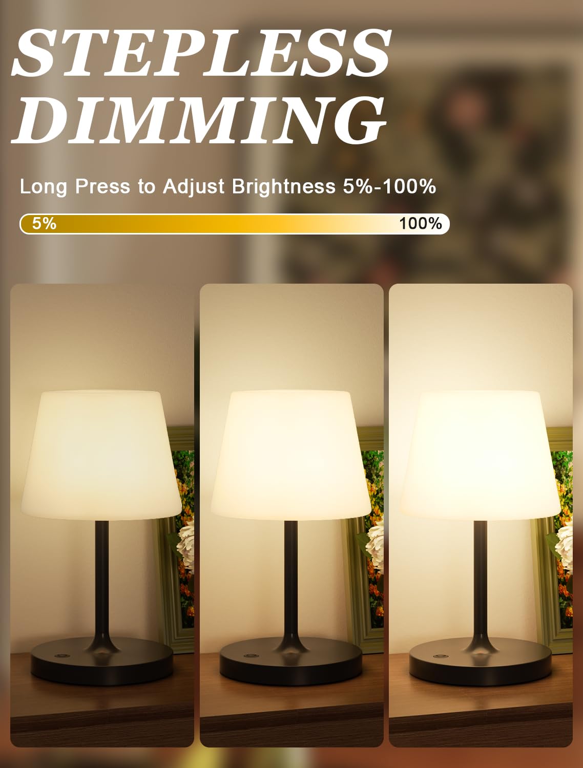 Kakanuo 4000mAh battery powered lamp suitable for outdoor evenings