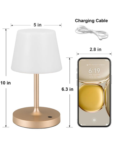 Kakanuo Champagne Gold Shower Lamp kitchen or bathroom lighting