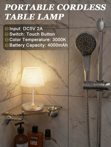 Kakanuo Champagne Gold Shower Lamp touch dimming for adjustable brightness