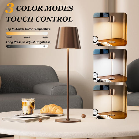 Kakanuo cordless lamp with three color temps for mood lighting
