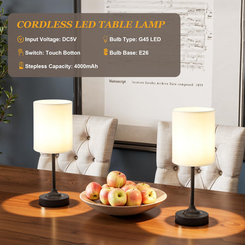Kakanuo G45 LED bulb included for energy efficient lighting