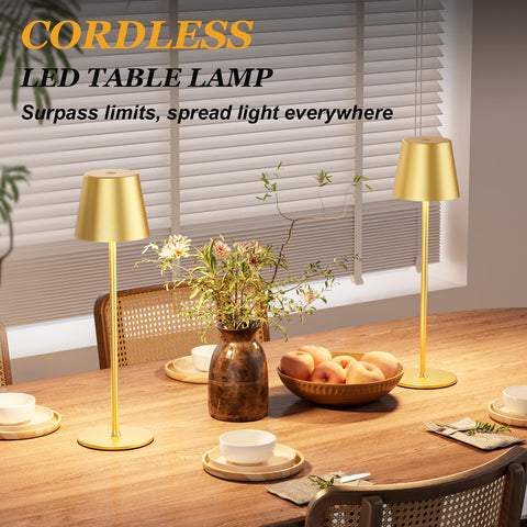 Kakanuo outdoor waterproof cordless lamp for patio or camping.