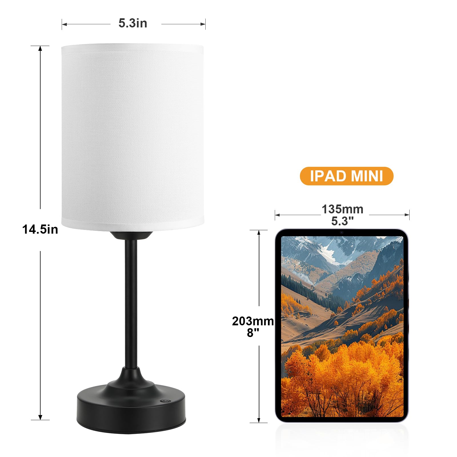 Kakanuo lamp with polished brass finish for sleek decor.