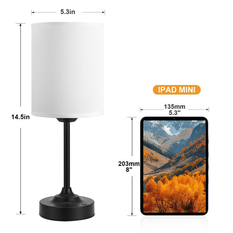 Kakanuo lamp with polished brass finish for sleek decor.