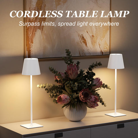 Kakanuo cordless lamp USB-C recharge port for easy recharging