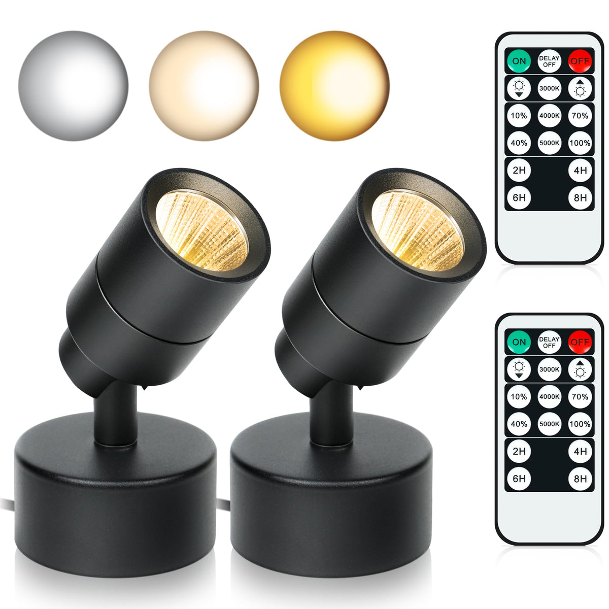 Kandicyar LED spotlight uplighting a plant for vibrant color.