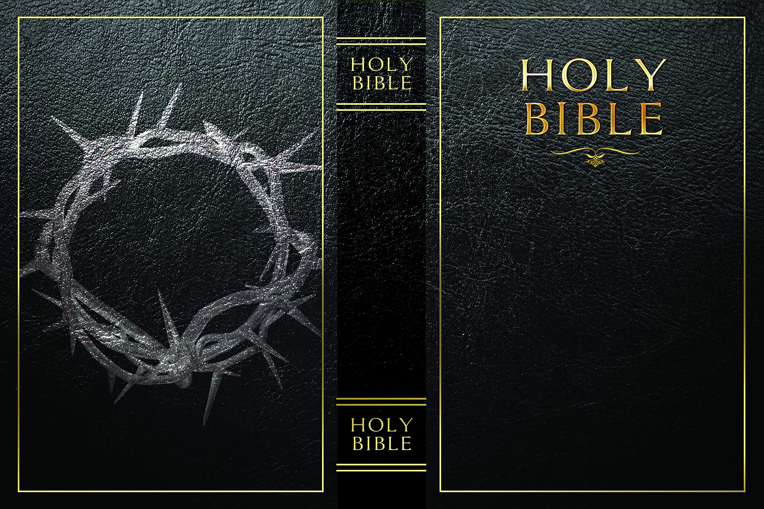 KASLVOX Bible Safe with lid-open reveals hidden compartment for valuables