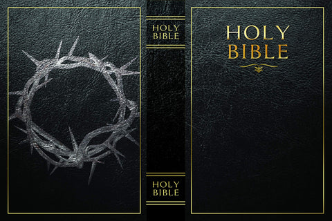 KASLVOX Bible Safe with lid-open reveals hidden compartment for valuables