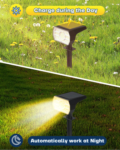 Kaxiida solar lights weatherproof casing withstands rain and wind while retaining glow.