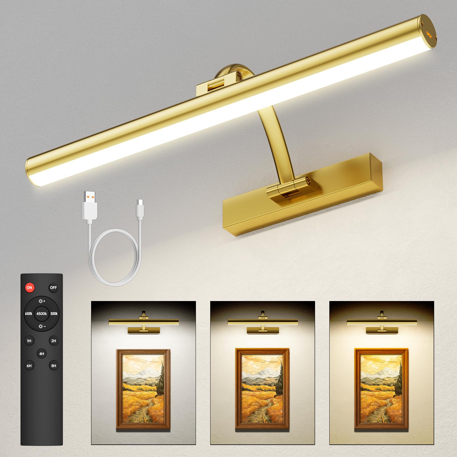 KEILAIMO Picture Light highlights wall art with angled head.