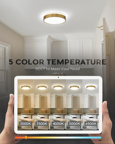 Ken & Ricky five-cct color-temperature control for adaptable mood lighting.