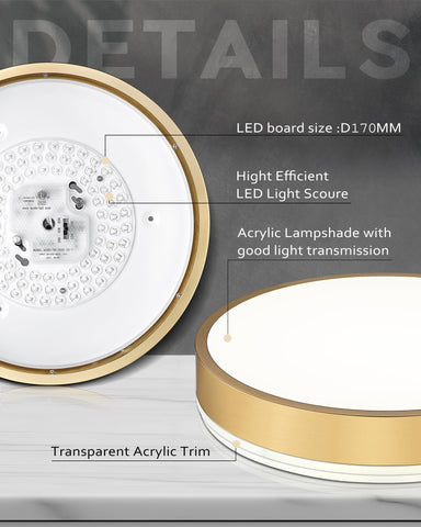 Ken & Ricky low-profile ceiling light fits tight ceilings with close-mount design.