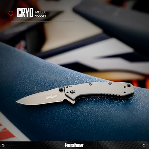 Kershaw Cryo 2.75-inch blade drop point for precise everyday tasks.