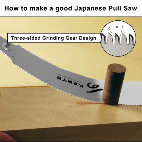 Replaceable blade feature for long-term use