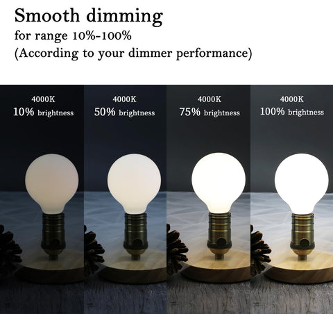 KGC LED Edison Globe Bulb, six-pack, easy replacement and consistent lighting.