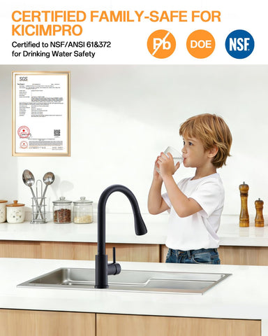 Kicimpro pull-down sprayer enables versatile rinsing for pots and vegetables.