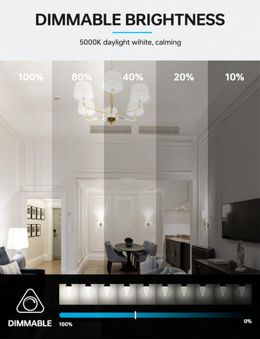 KINDEEP dimmable LEDs compatible with many dimmers for ambiance.