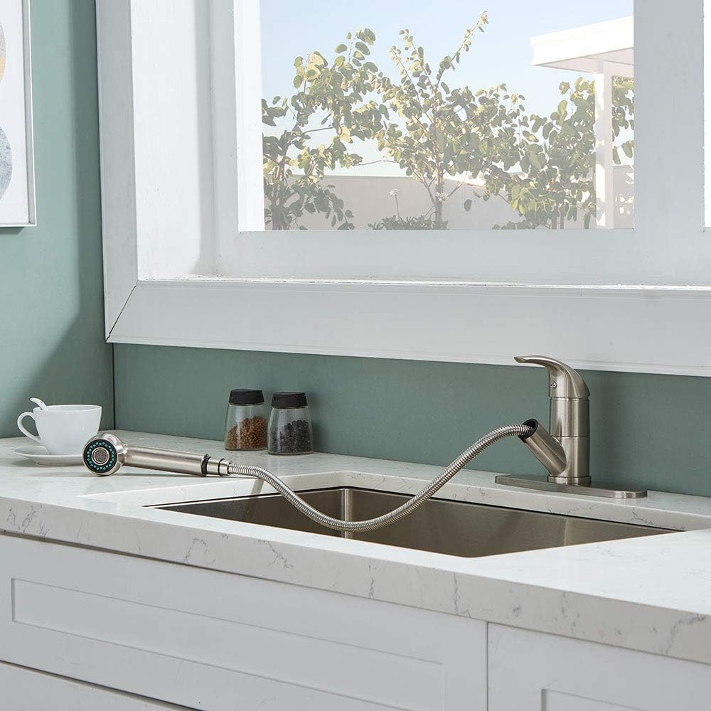 Kingo Home spray and stream mode close-up demonstrates versatile cleaning power