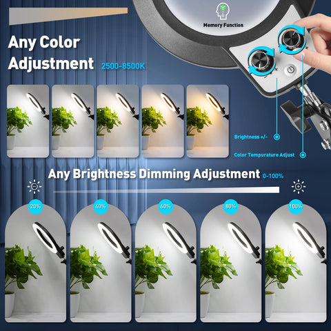 KIRKAS foam-padded clamp protects surfaces while securing the lamp.