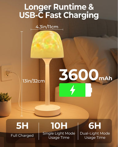 Kleqop spa lamp with dual control and memory function