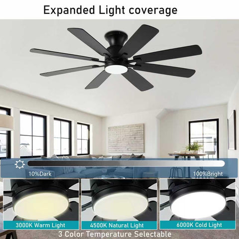 KNUN 52-inch fan with 8 blades offers high airflow and versatile styling.