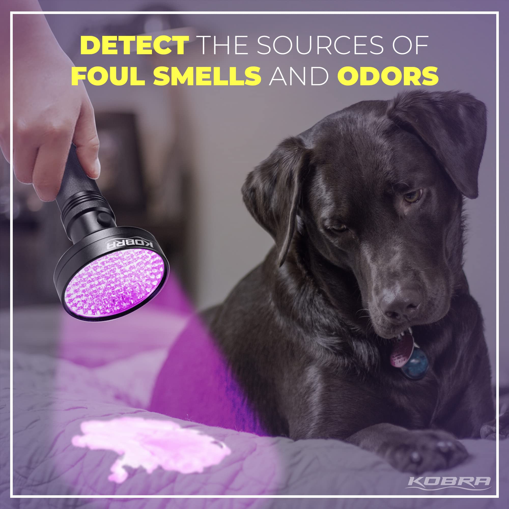 KOBRA UV flashlight emphasizes waterproof and shockproof construction for rugged use.