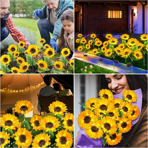 KOOPER garden sunflowers brighten walkways with decorative glow after dusk.
