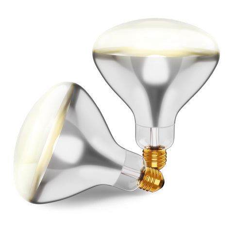 KOR 250W Heat Lamp pack of 2 with clear head for even heat distribution.