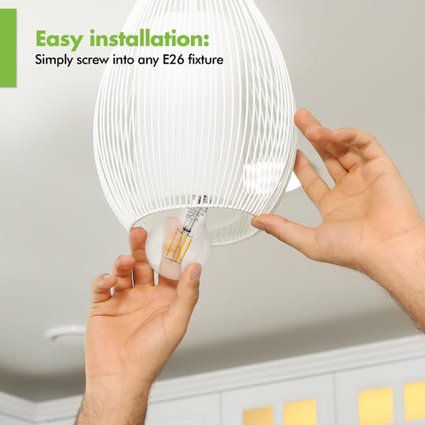 KOR LED G25 Filament Globe Bulbs deliver CRI 90 color accuracy