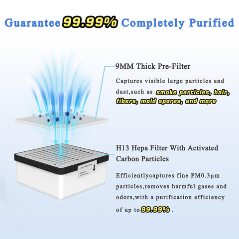 KQZ B1 activated-carbon filter close-up for odor removal.