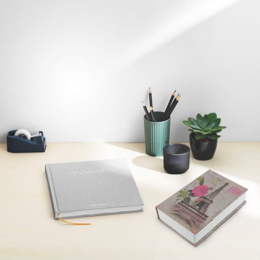 KYODOLED Book Safe compact appearance fits any space without drawing attention.