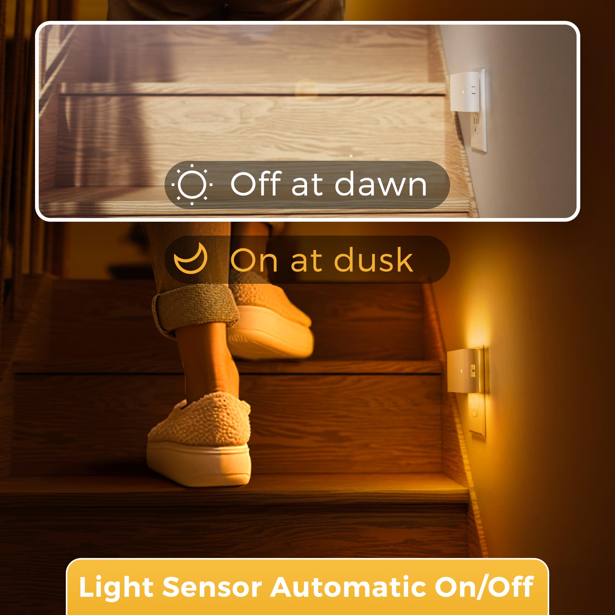 L LOHAS LED night light offers energy efficiency and long life.