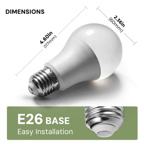 L LOHAS LED amber bulb 2-pack for versatile, consistent warmth