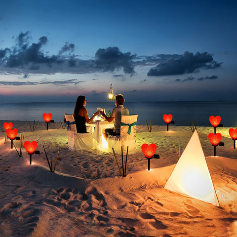 LAIAMER solar powered lights conserve energy while delivering reliable nightly glow