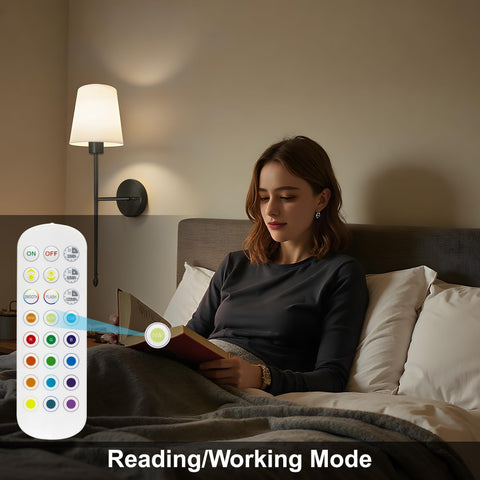 Laiebri memory function recalls last brightness and color settings.