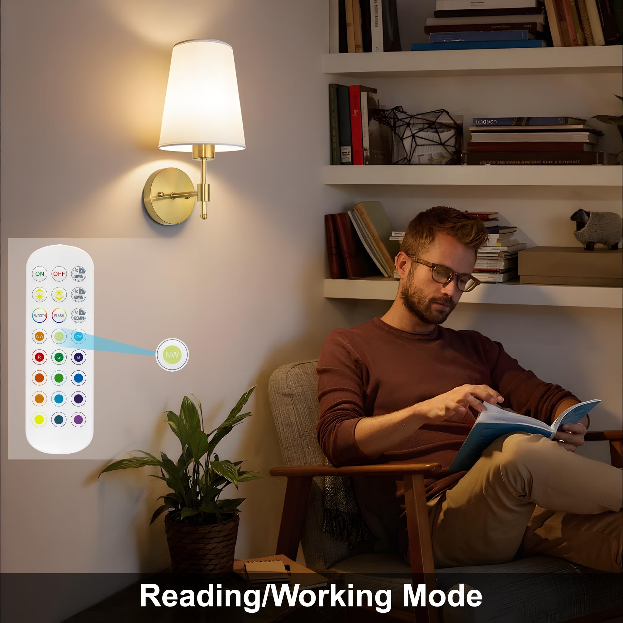 Laiebri 12 RGB colors offer customizable mood lighting.