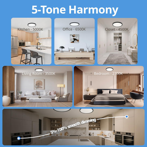 Laiyidia 6-pack 5CCT selector control depiction for color temperature options