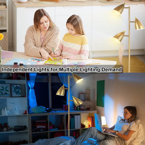 LALISU easy-assembly detachable pole simplifies setup and storage.