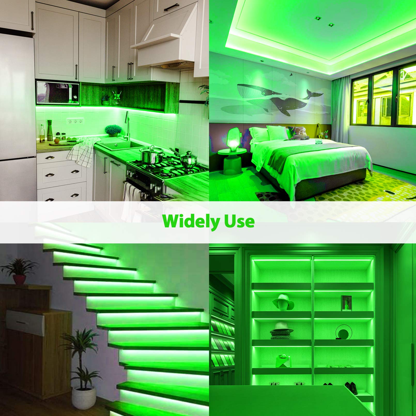 Lamomo LED Neon Lights 12V DC low heat operation for safe homes.