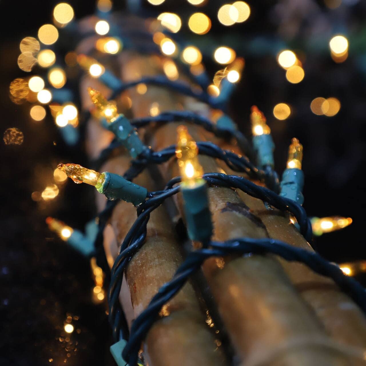 LAMPHOME built-in 3A fuse enhances safety during holiday displays.