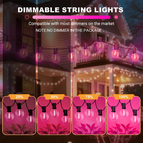 LAMPHOME Valentine’s Day setup ideas with 13 pink bulbs.