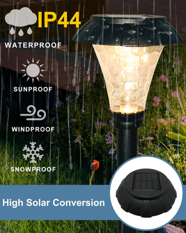 LAMTREE lights at the driveway entry enhance visibility and curb appeal