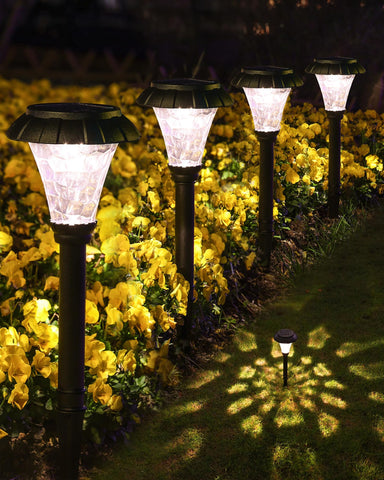 LAMTREE Solar Pathway Lights illuminate the front yard with a warm, welcoming glow