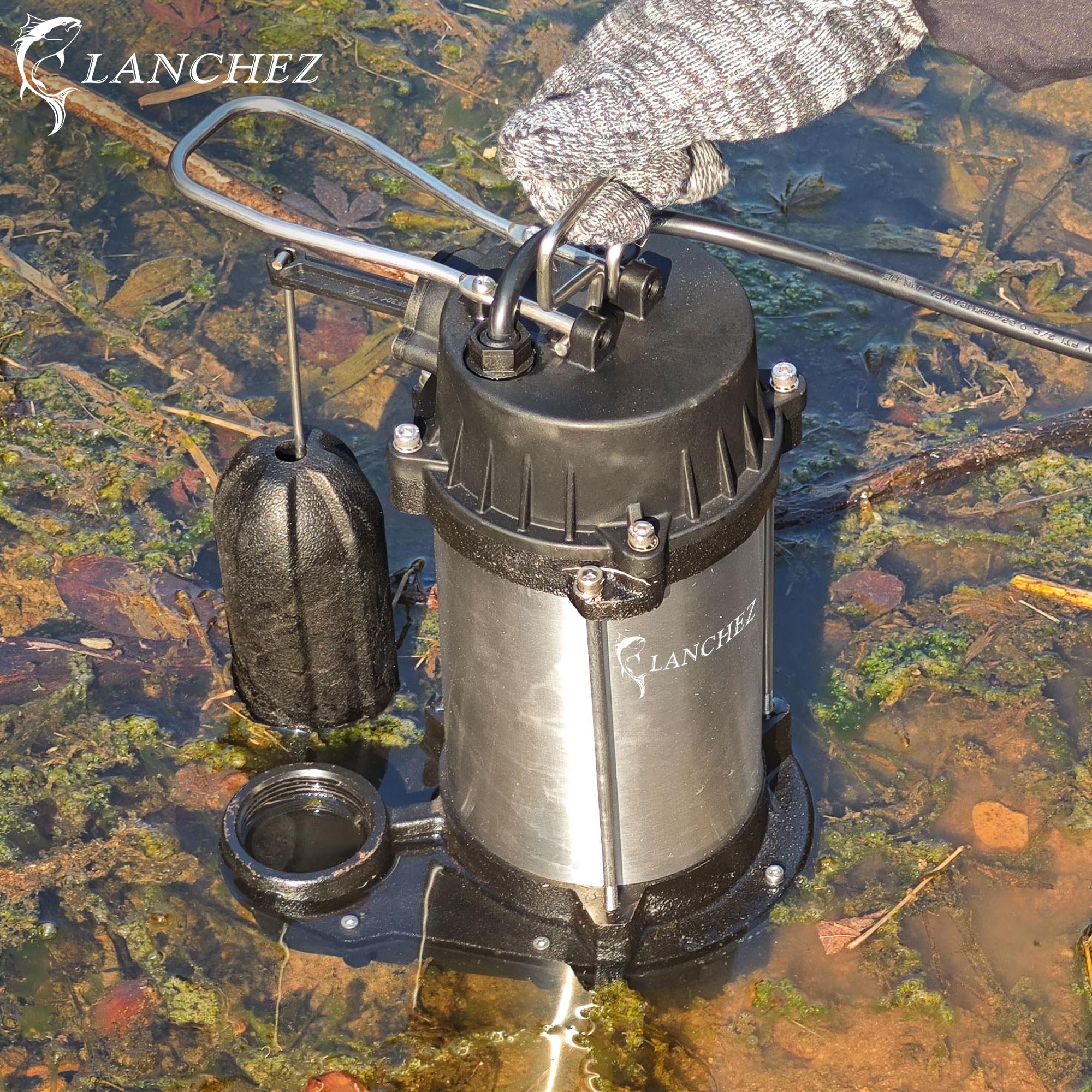 LANCHEZ pump with extended 10 ft power cord for flexible installation