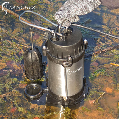 LANCHEZ pump with extended 10 ft power cord for flexible installation