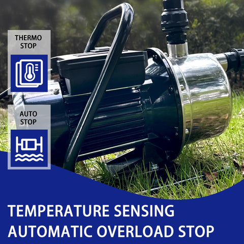 LANCHEZ pump motor casing emphasizes 1.6 HP power and reliability.