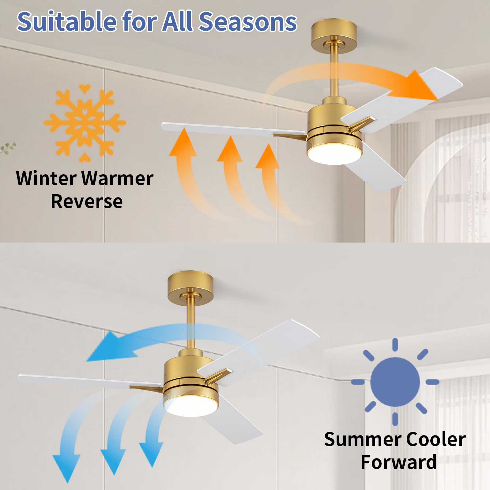 LANMEL 6-speed settings tailor airflow to your room.